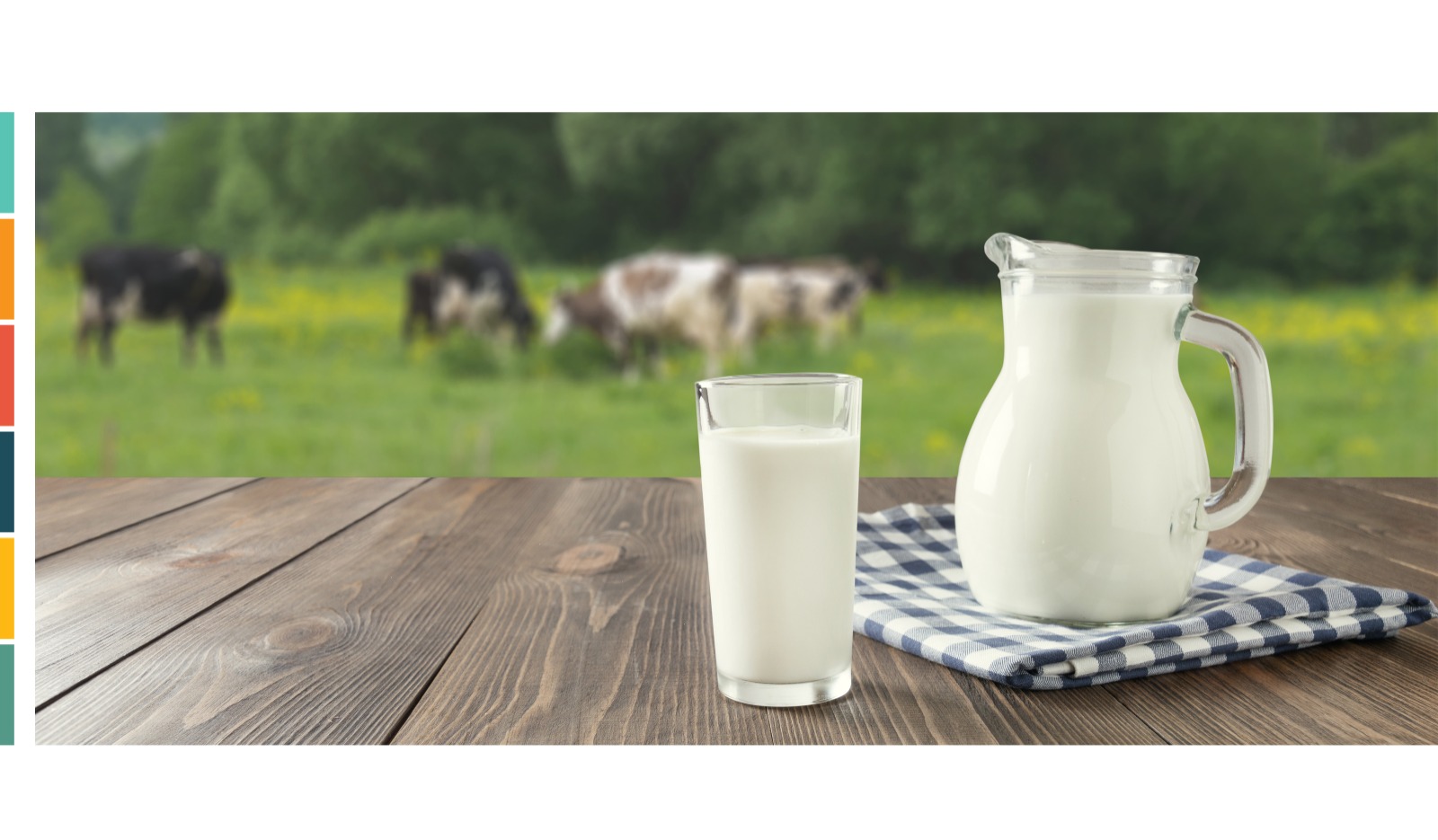 Süt Sizin İçin Ne Kadar İyi?